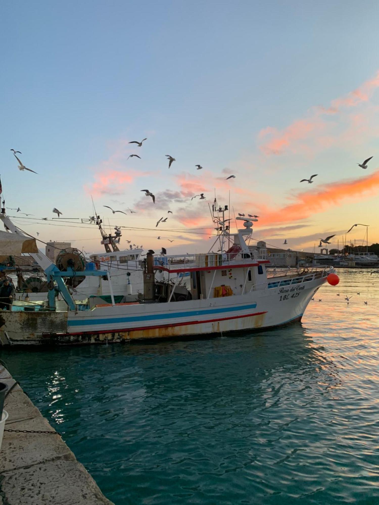 Vischi Apartment Trani By Le Marinelle Loc Turistica Екстериор снимка